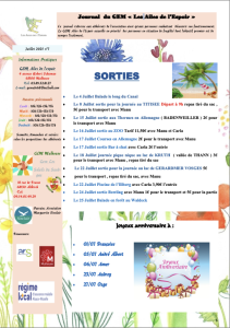 Programme Juillet GEM Les ailes de l'espoir
