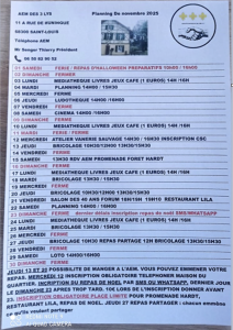 Programme novembre 2025 AEM des 3 LYS de Saint-Louis