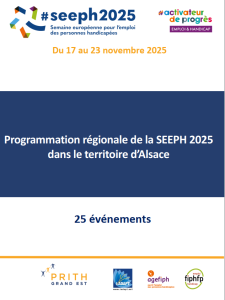 EMPLOI TH - Programme SEEPH ALSACE